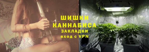 сатива Липки