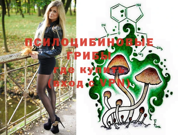 сатива Липки